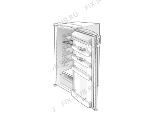 Холодильник Gorenje R4226E (145048, HS2226) - Фото